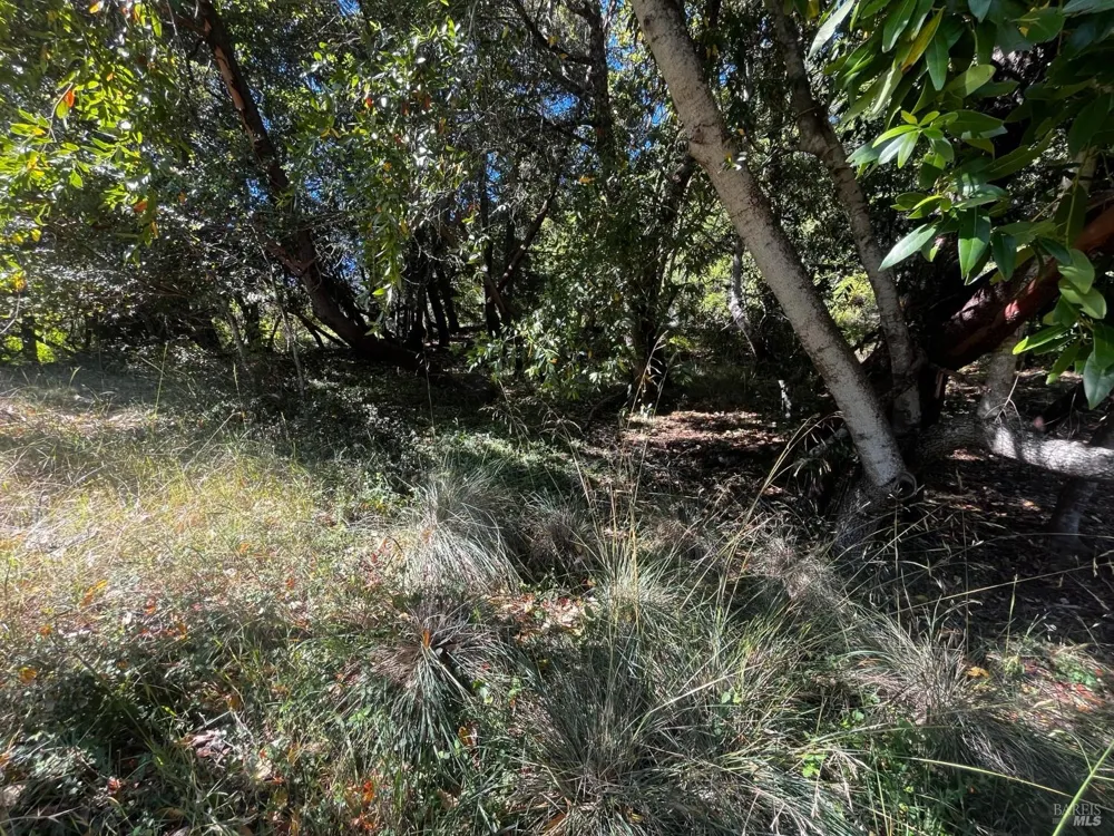 3271 Primrose Drive Willits, CA 95490