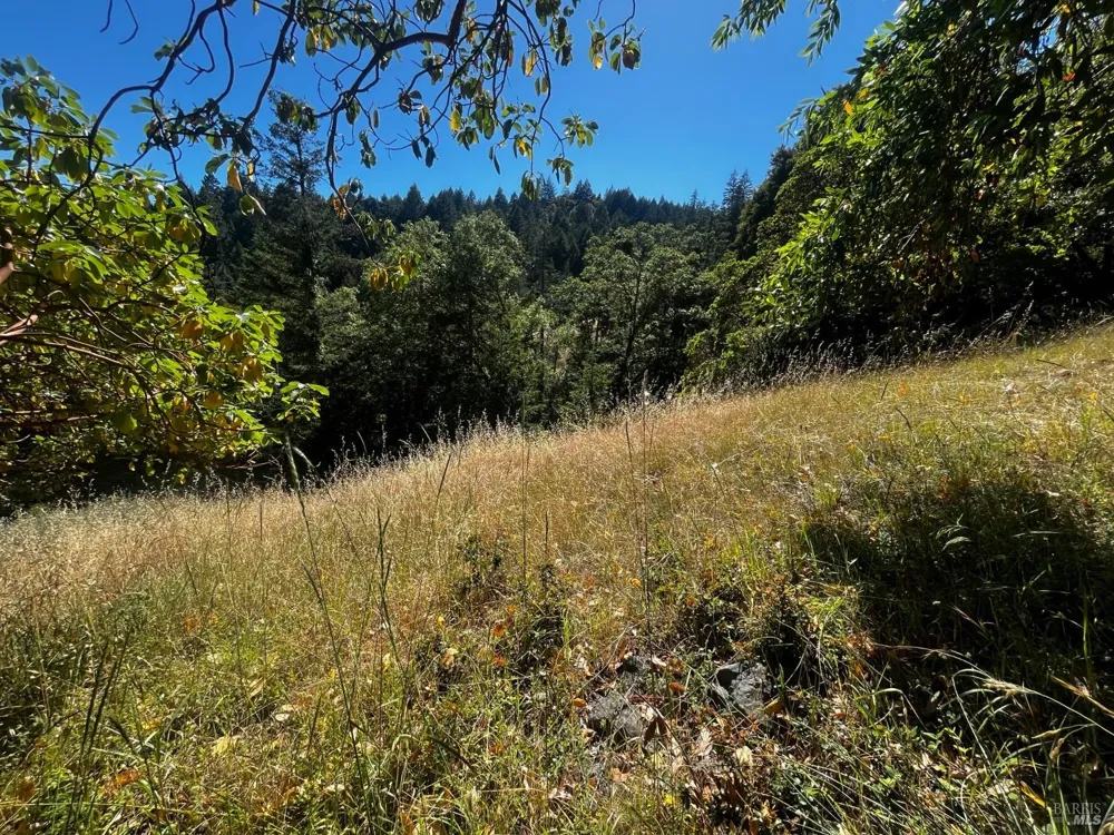 3271 Primrose Drive Willits, CA 95490