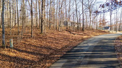 Shadow Rock Drive