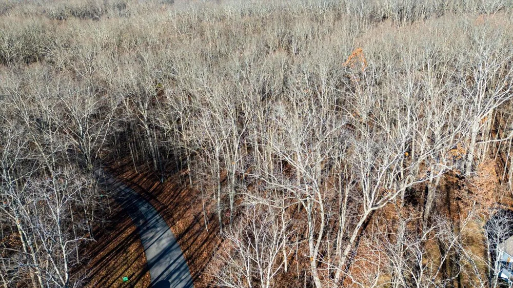 Shadow Rock Drive Monteagle, TN 37356