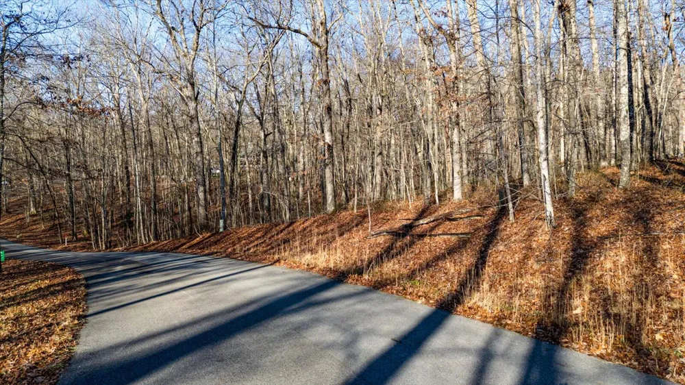 Shadow Rock Drive Monteagle, TN 37356