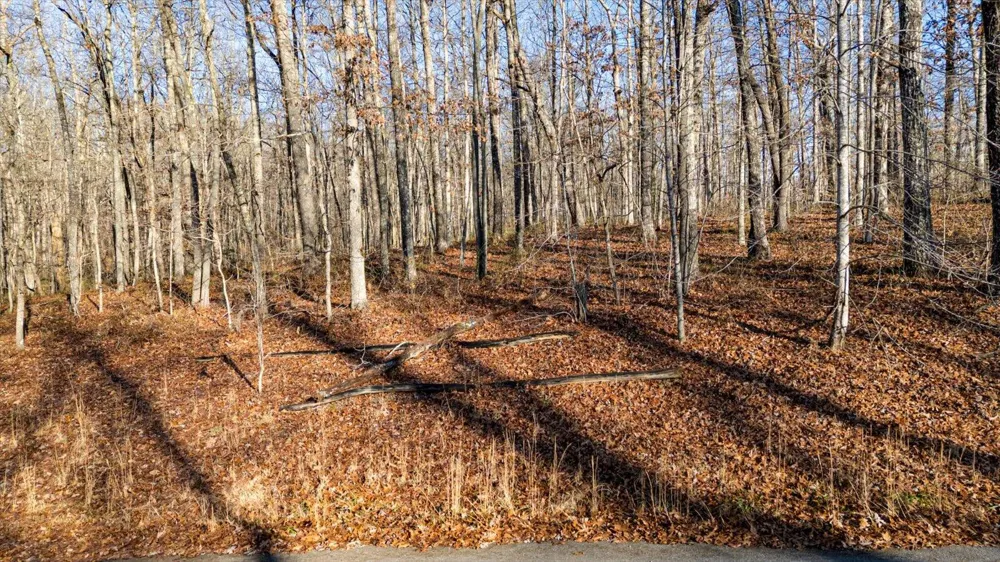 Shadow Rock Drive Monteagle, TN 37356