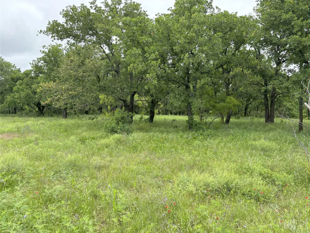 Sunset Lane Jacksboro, TX 76458