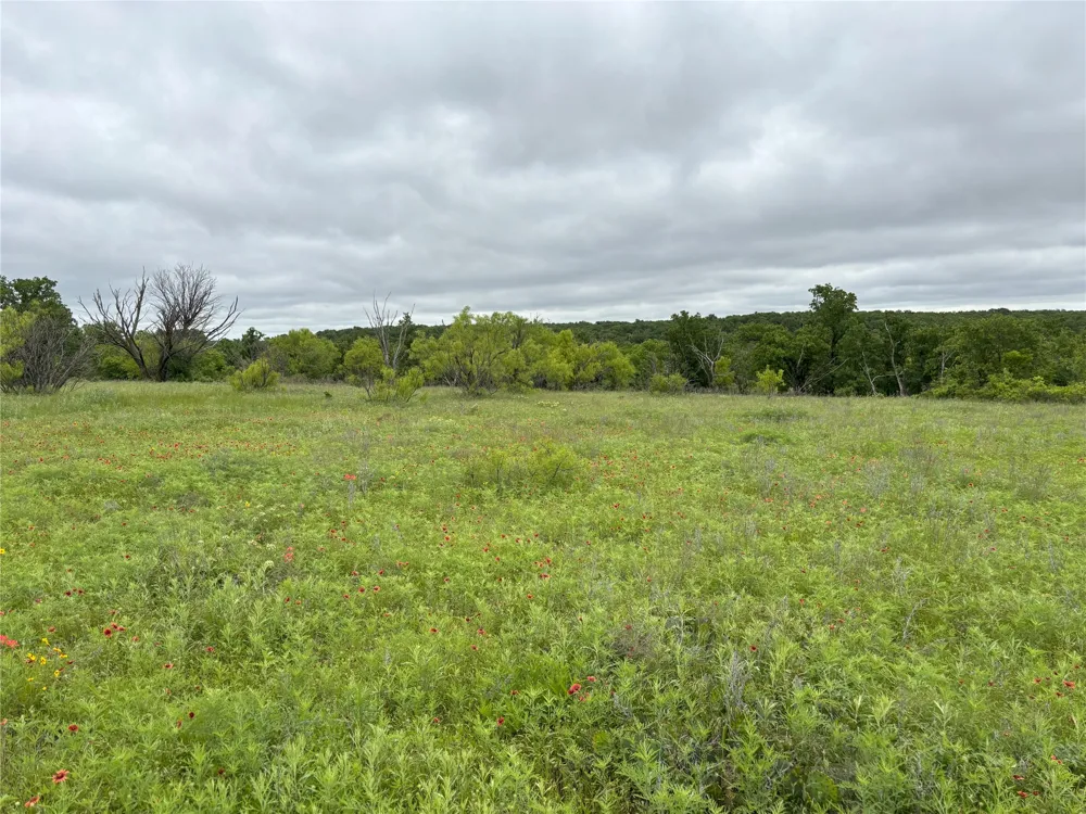Sunset Lane Jacksboro, TX 76458