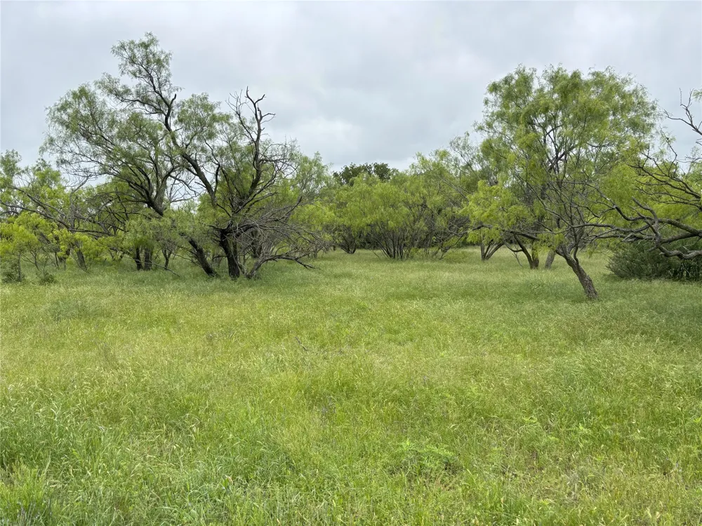 Sunset Lane Jacksboro, TX 76458