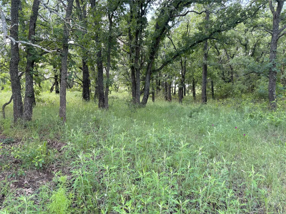 Sunset Lane Jacksboro, TX 76458