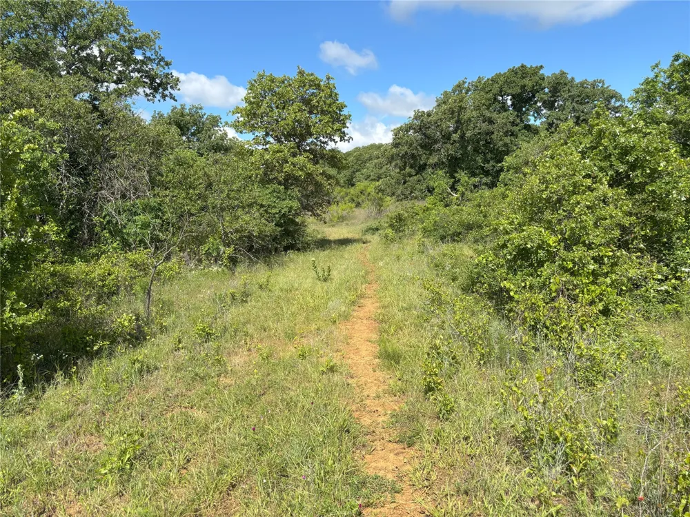 Sunset Lane Jacksboro, TX 76458