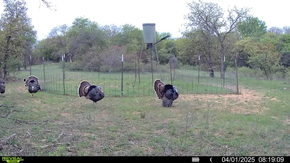 Sunset Lane Jacksboro, TX 76458