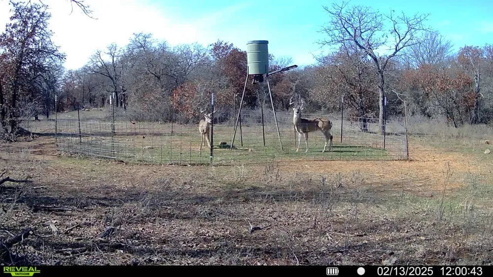 Sunset Lane Jacksboro, TX 76458