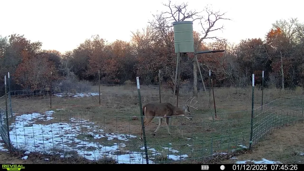 Sunset Lane Jacksboro, TX 76458
