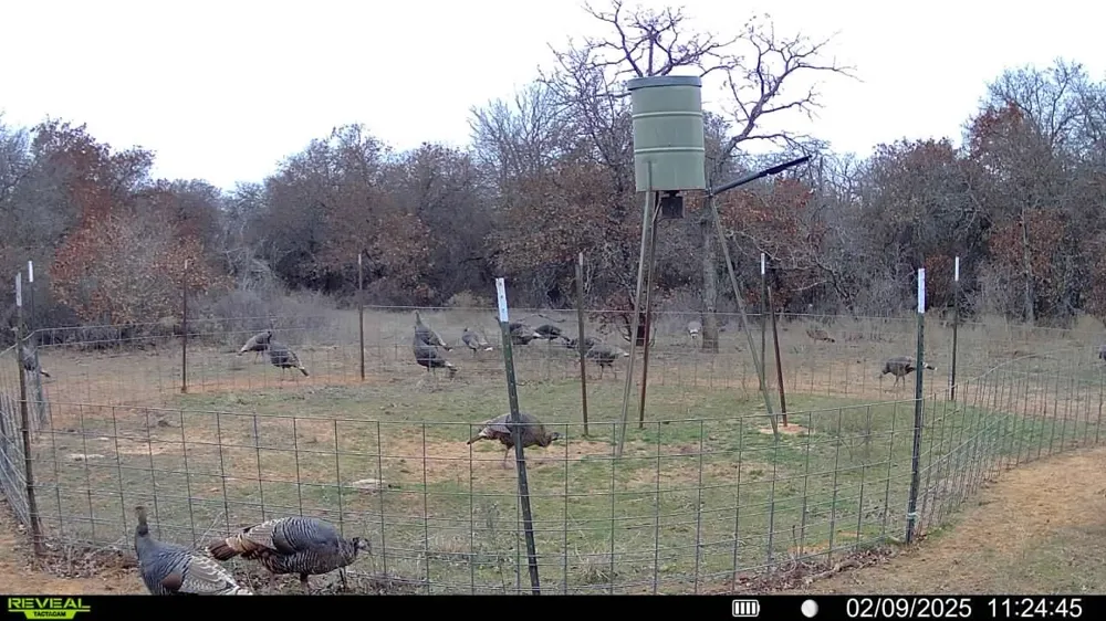 Sunset Lane Jacksboro, TX 76458