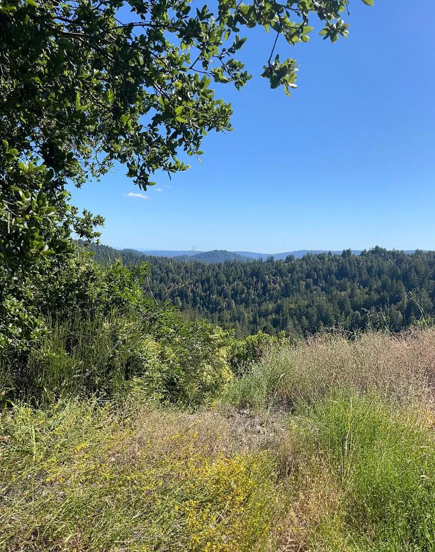 Bear Creek Road Boulder Creek, CA 95006