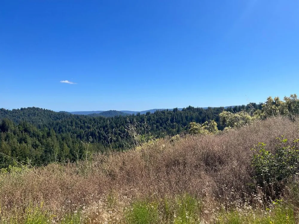 Bear Creek Road Boulder Creek, CA 95006
