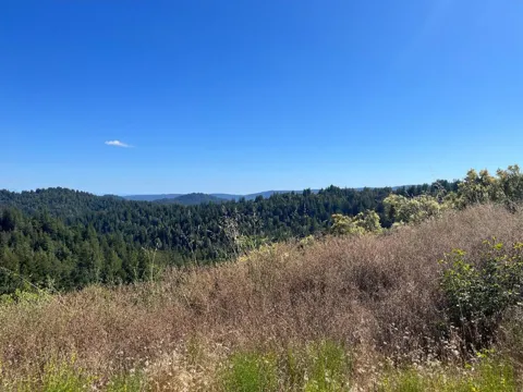 Bear Creek Road