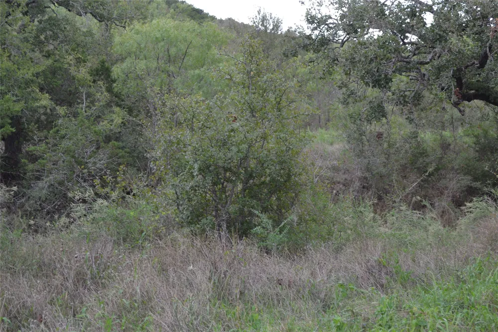 Ranch Road 2241 Tow, TX 78672