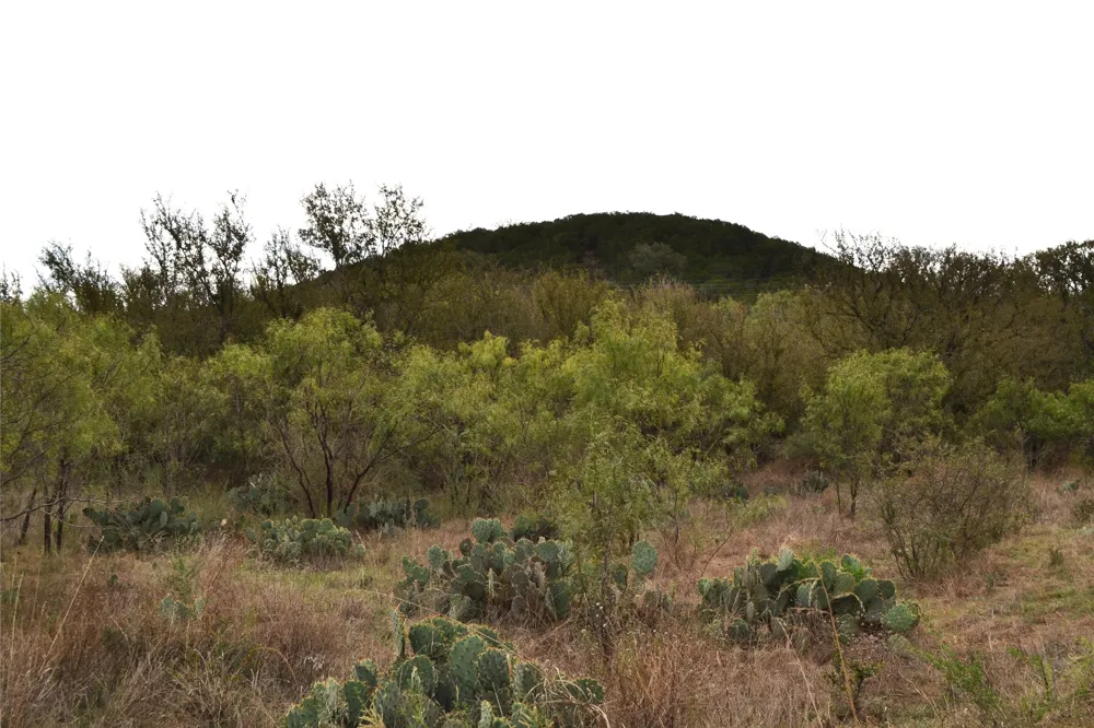 Ranch Road 2241 Tow, TX 78672