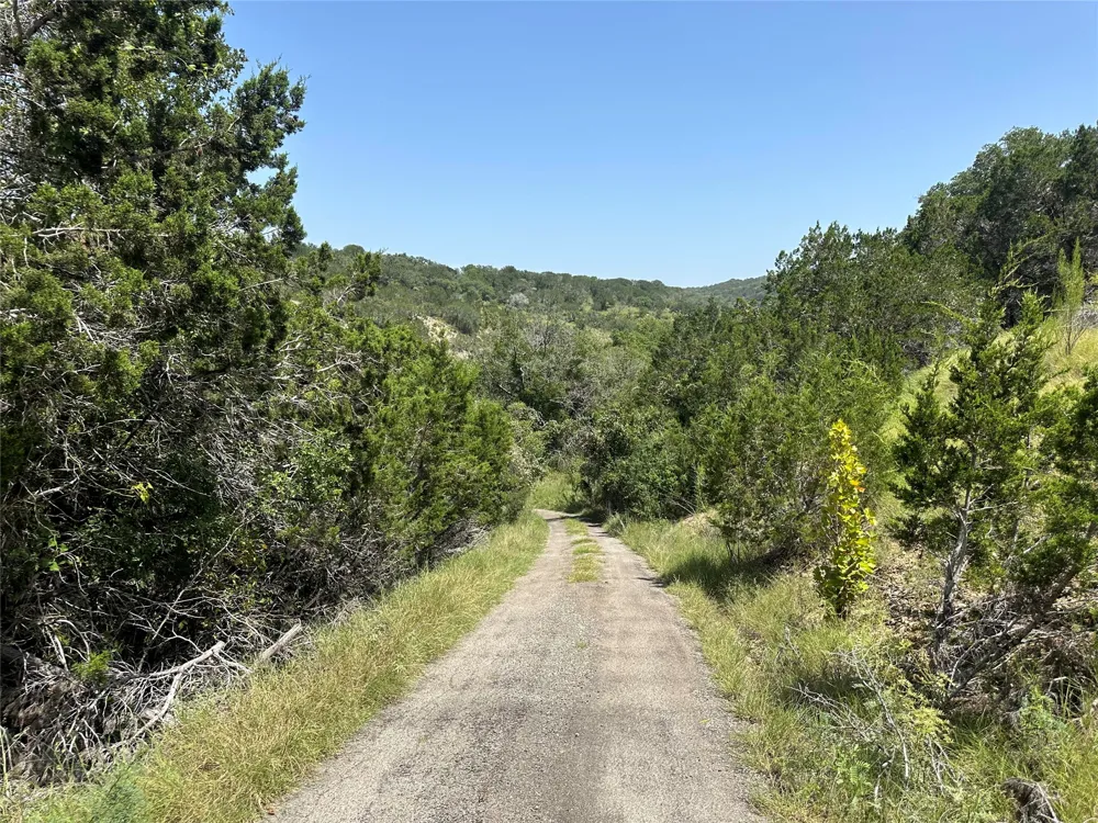 332 Turkey Dr Road Dripping Springs, TX 78620