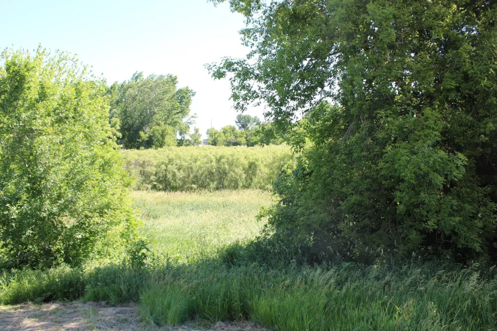 TBD 225th Street Silver Lake, MN 55381