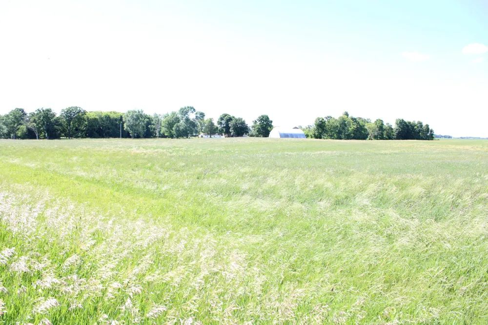 TBD 225th Street Silver Lake, MN 55381