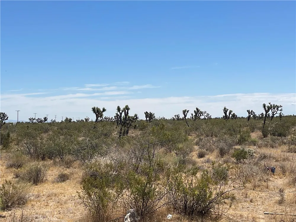 213th Llano, CA 93544