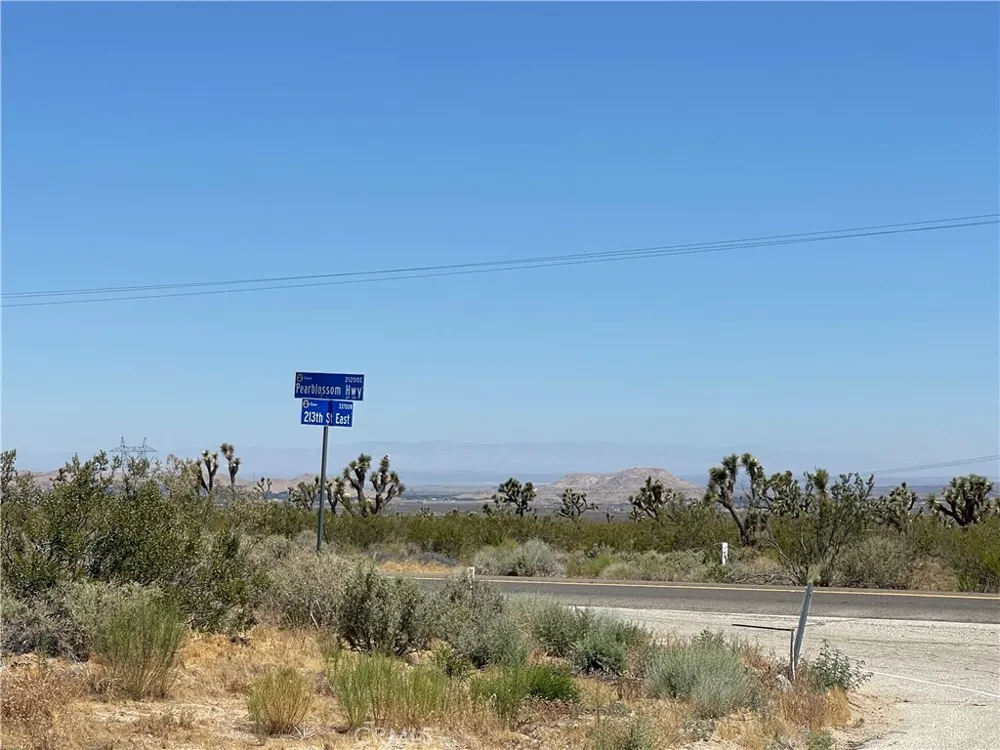 213th Llano, CA 93544
