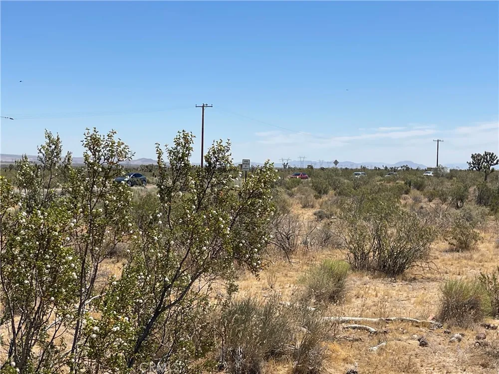 213th Llano, CA 93544