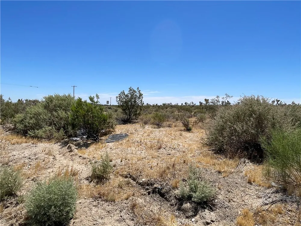 213th Llano, CA 93544