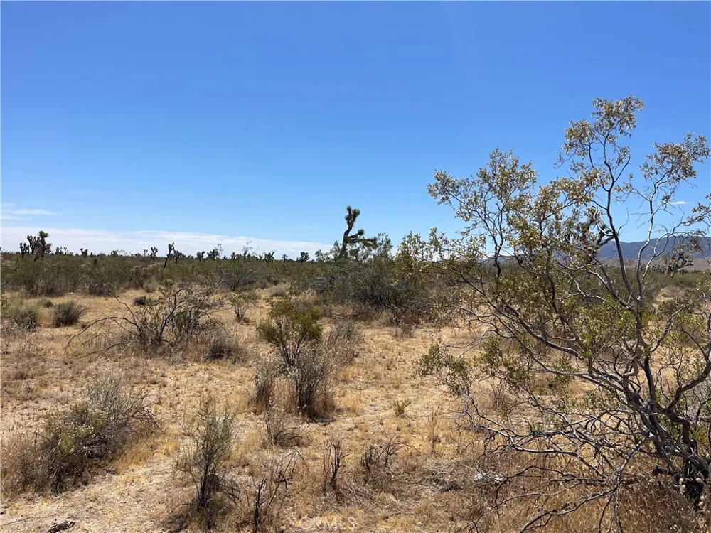 213th Llano, CA 93544