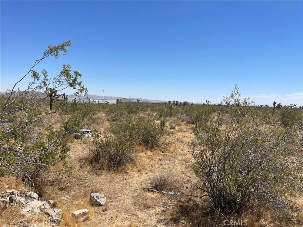 213th Llano, CA 93544