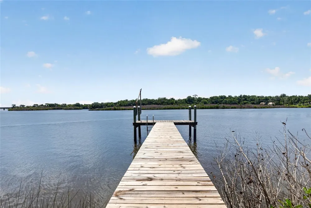 6315 PALMAS BAY CIRCLE Port Orange, FL 32127