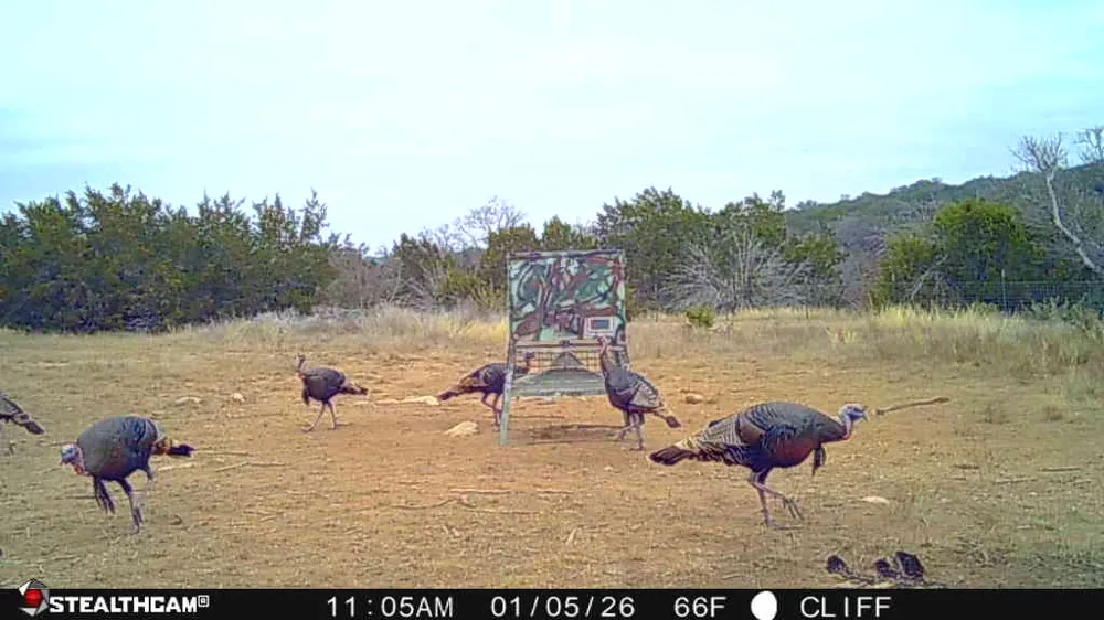 830 Ulrich Road Johnson City, TX 78636