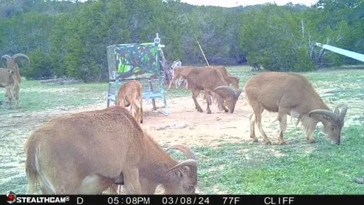 830 Ulrich Road Johnson City, TX 78636