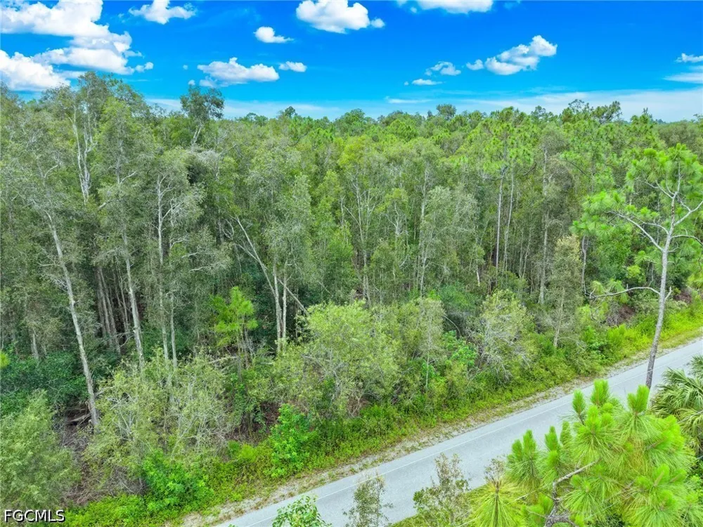 Caisson Lane Fort Myers, FL 33912
