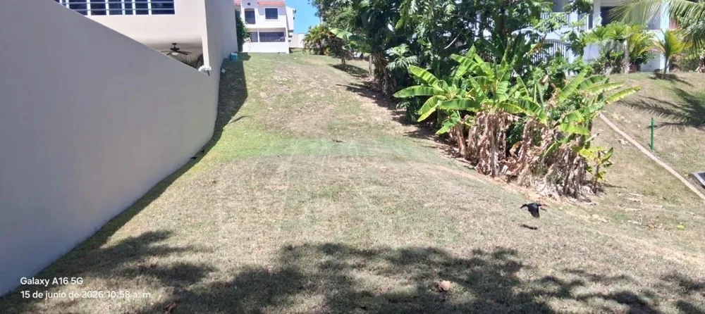 145 MONTECARLO #145 Humacao, PR 00791