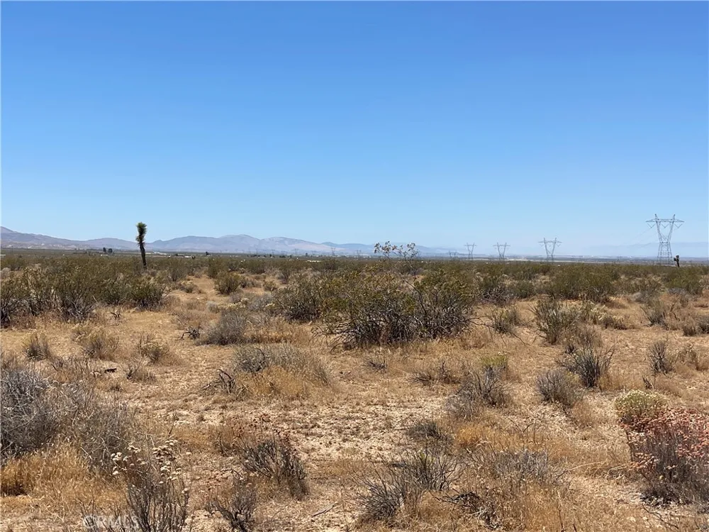 195th Black Butte, CA 93591