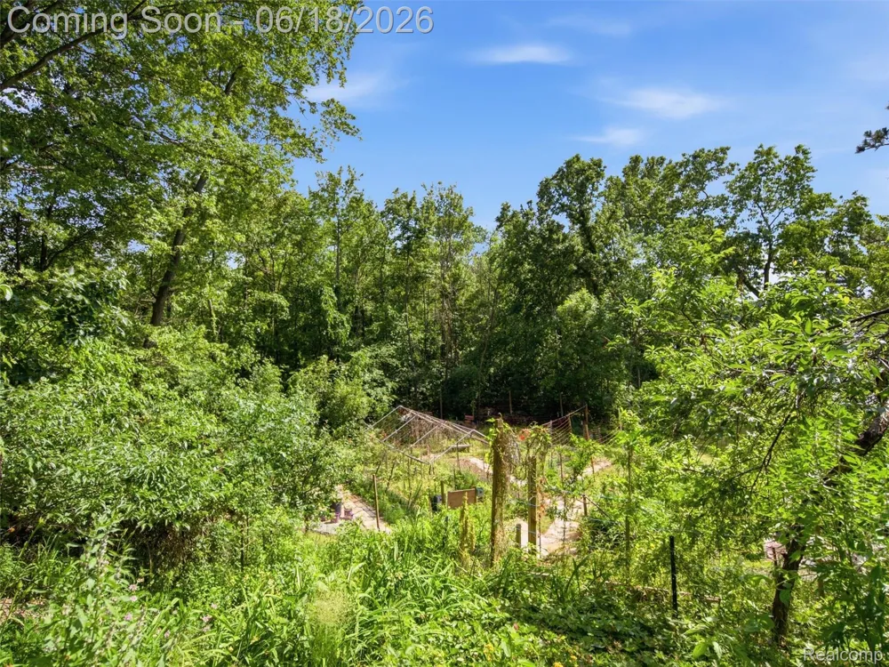14478 Bouchner Drive Argentine Township, MI 48451