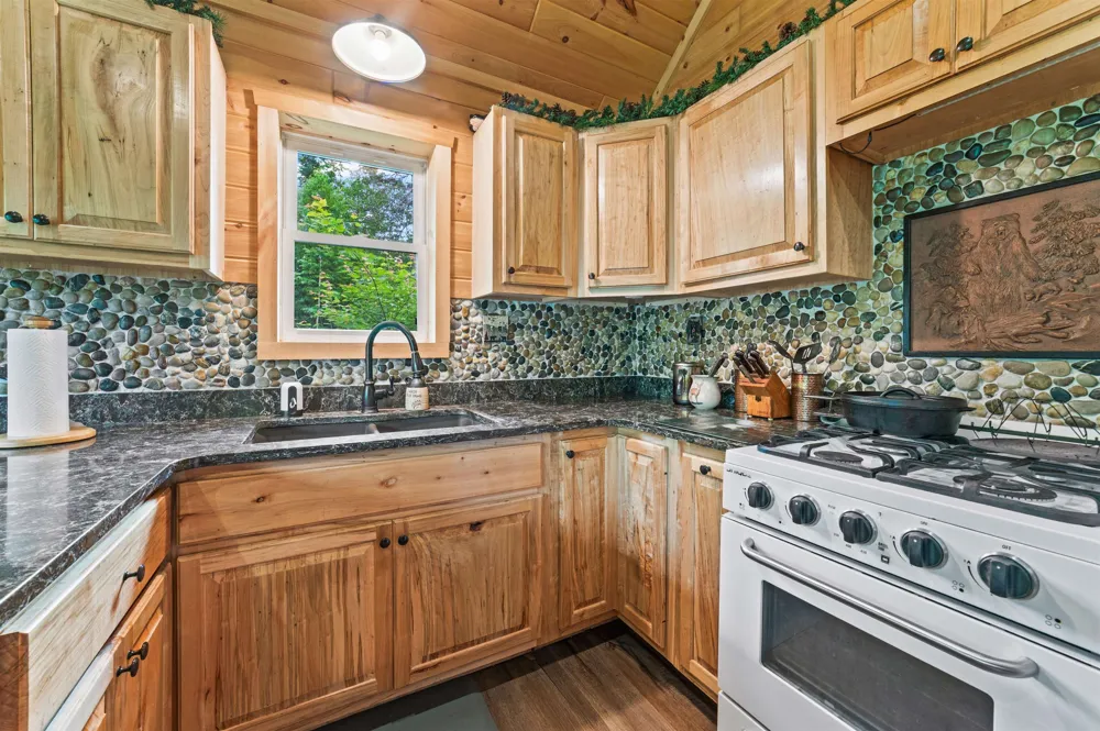 9124 Jyla Lane SE Oliver Township, MI 49646