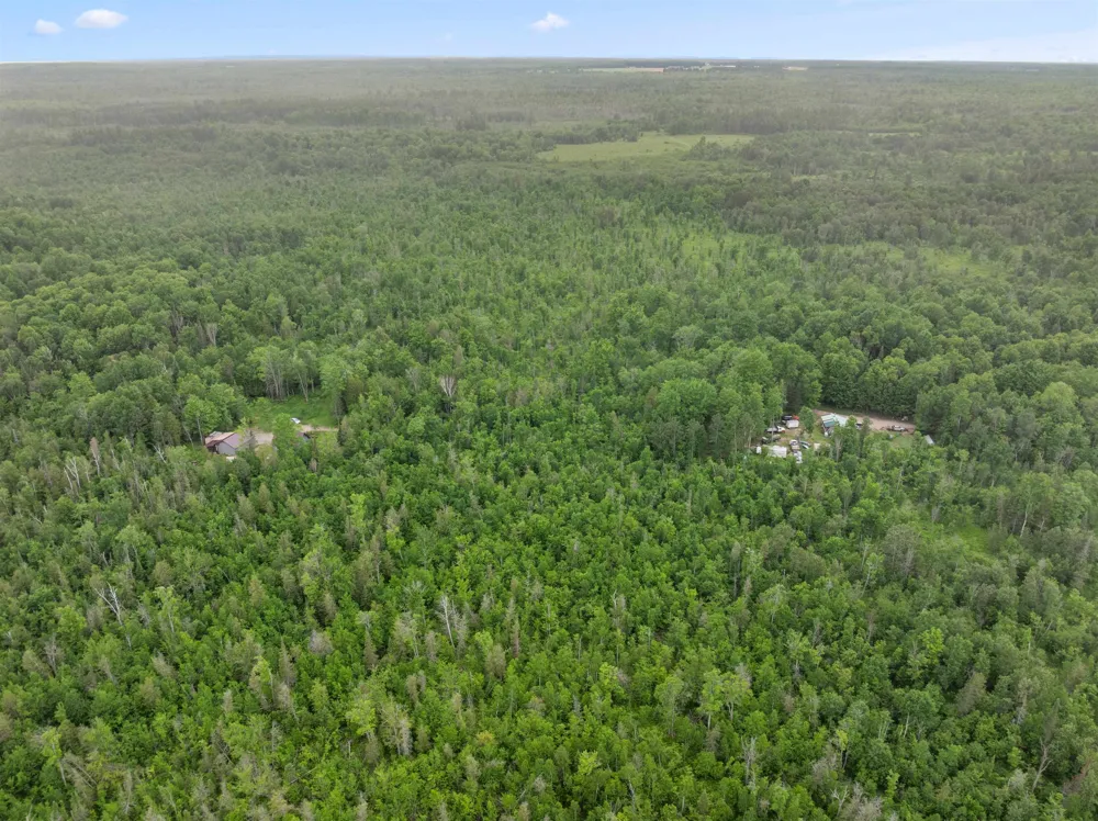 9124 Jyla Lane SE Oliver Township, MI 49646