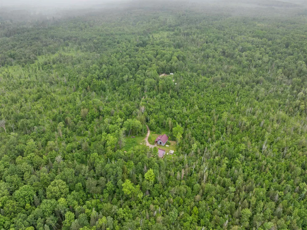 9124 Jyla Lane SE Oliver Township, MI 49646