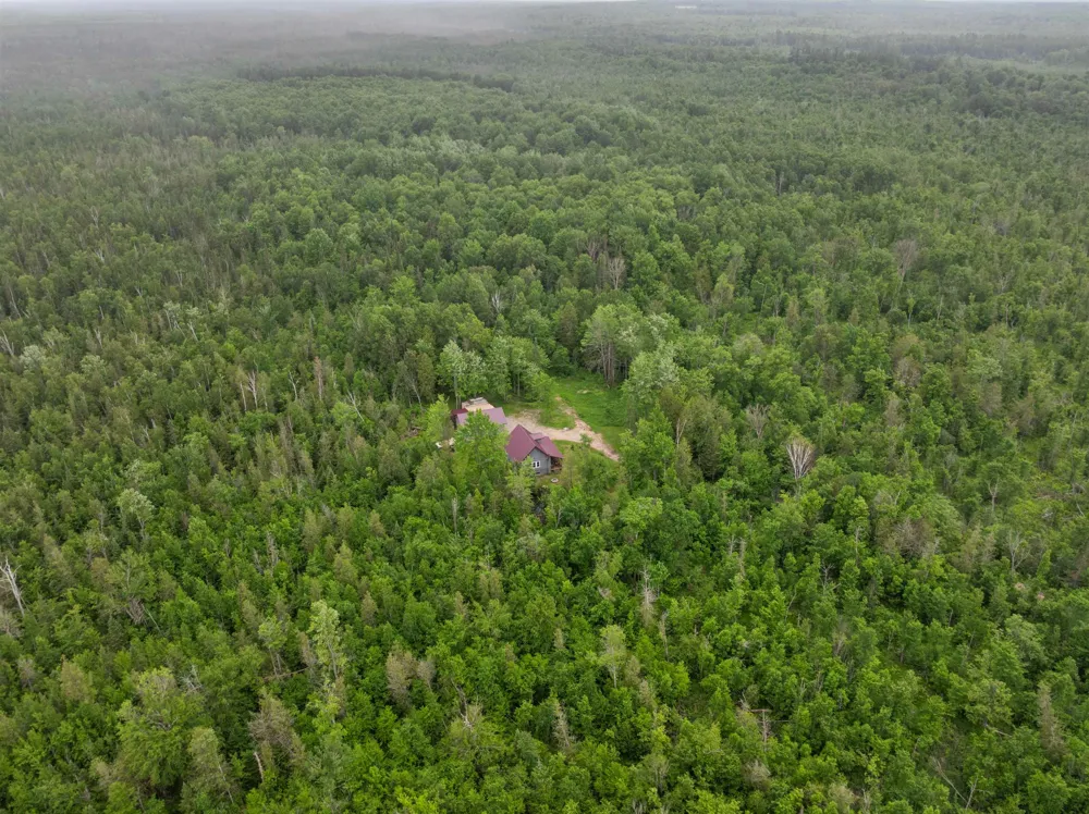 9124 Jyla Lane SE Oliver Township, MI 49646