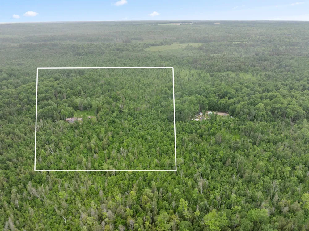 9124 Jyla Lane SE Oliver Township, MI 49646