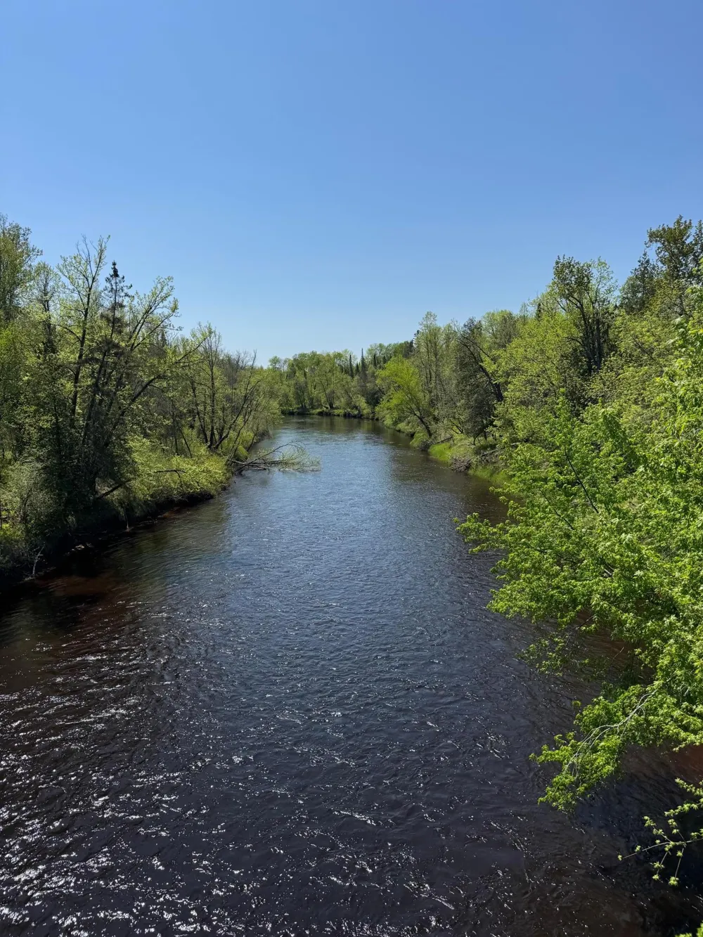 TBD242.25 Lavell Road Meadowlands, MN 55765