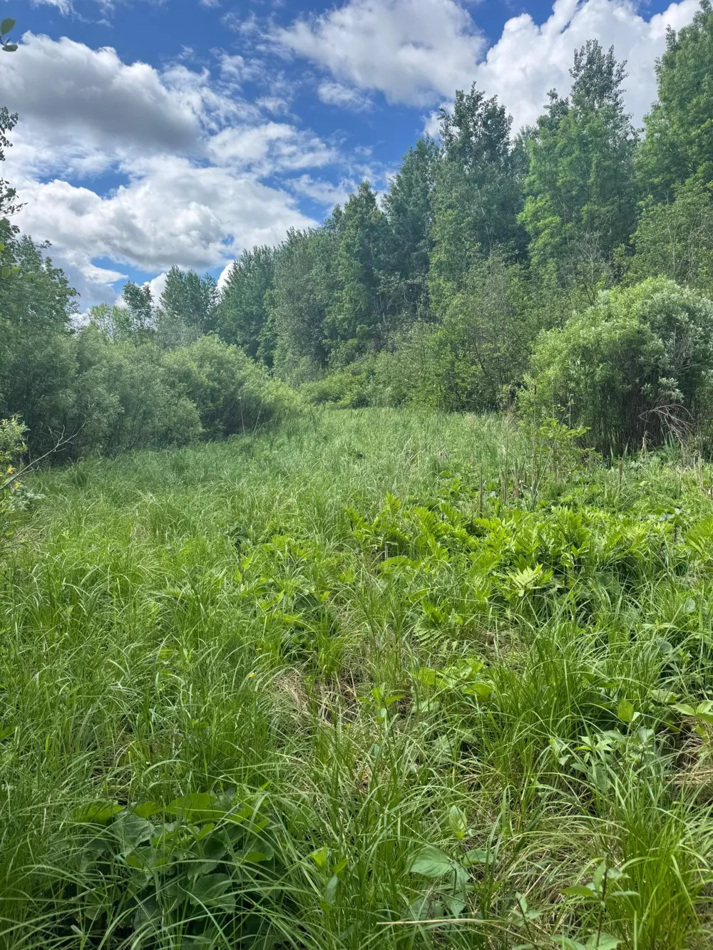 TBD242.25 Lavell Road Meadowlands, MN 55765