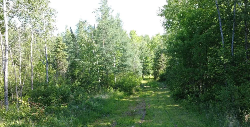 TBD242.25 Lavell Road Meadowlands, MN 55765