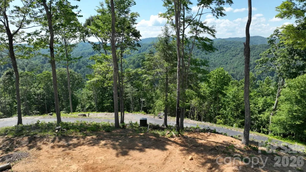 Lot 6 Pinnacle View Elk Park, NC 28622
