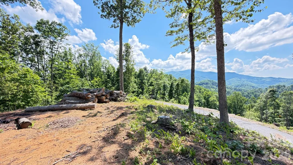 Lot 6 Pinnacle View Elk Park, NC 28622