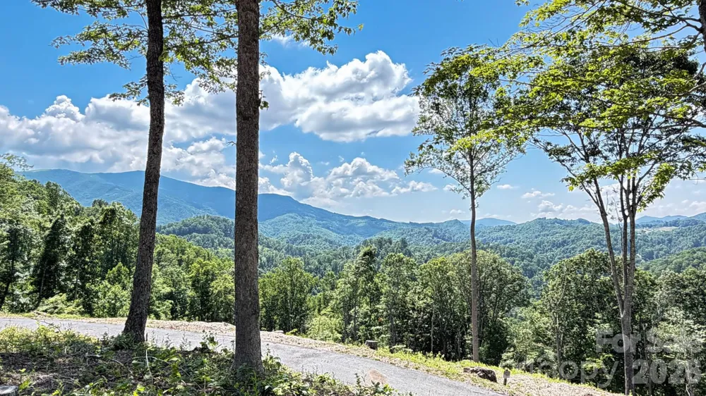 Lot 6 Pinnacle View Elk Park, NC 28622