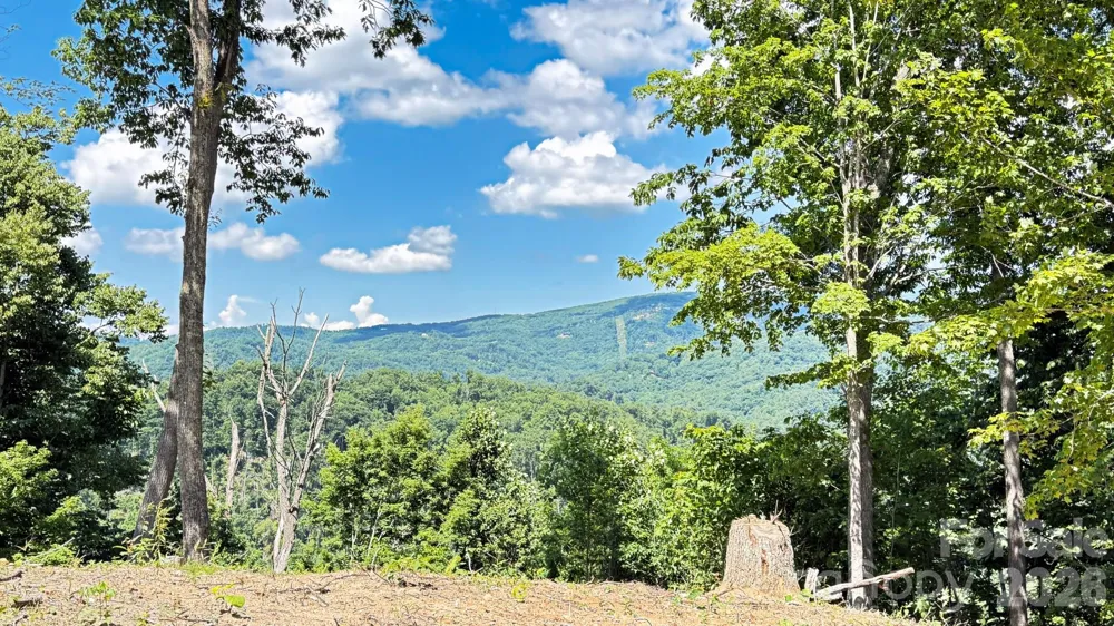 Lot 6 Pinnacle View Elk Park, NC 28622