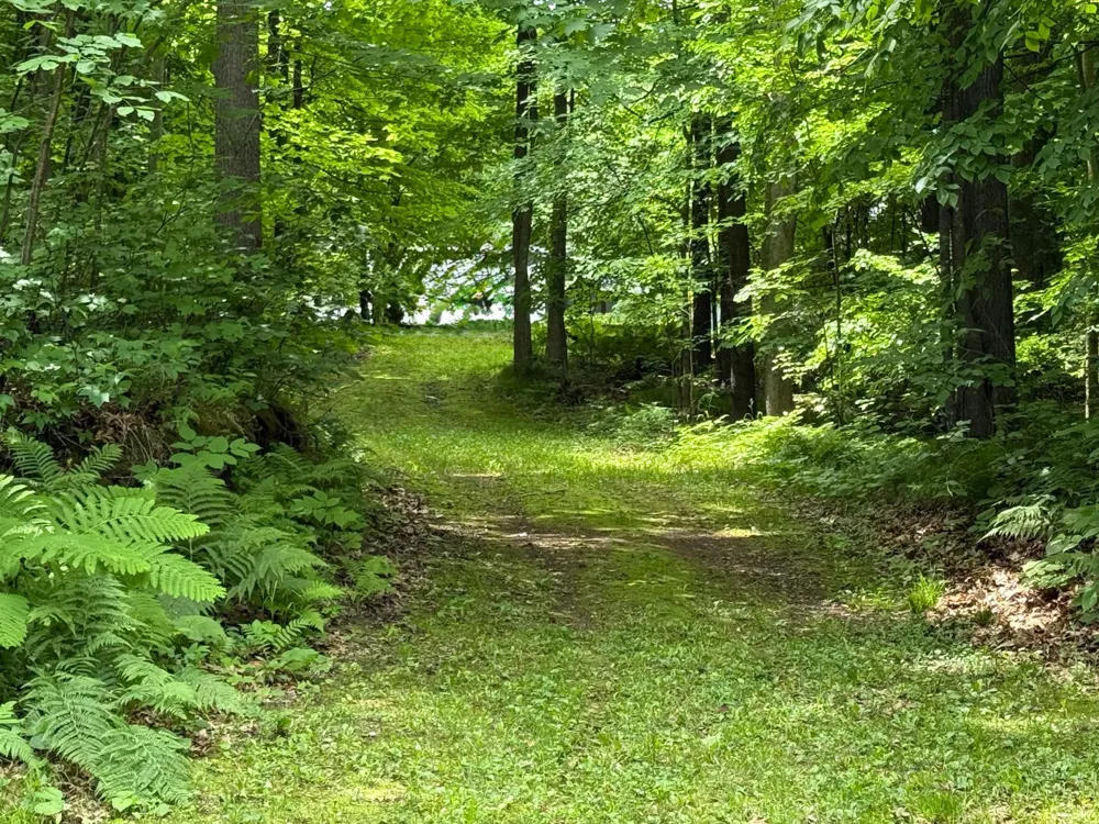 N1785 Lehman Lake Road Shell Lake, WI 54871