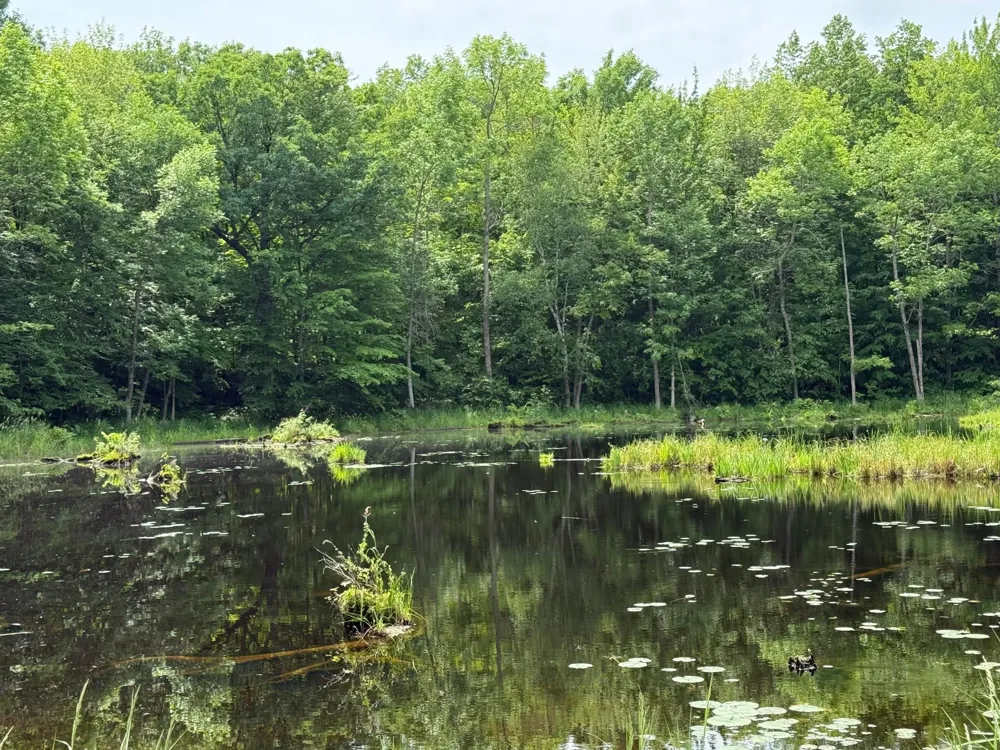 N1785 Lehman Lake Road Shell Lake, WI 54871